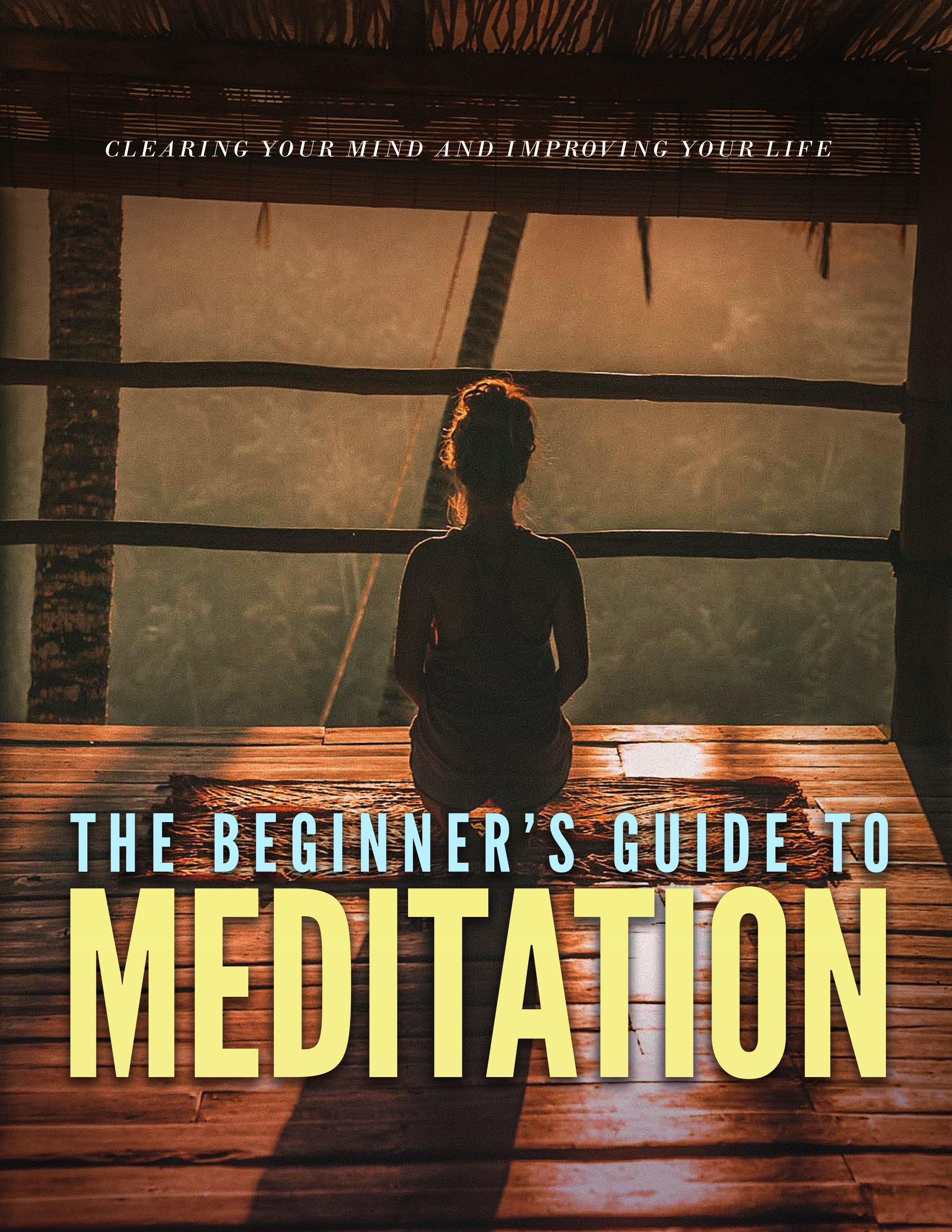 TheBeginner_sGuidetoMeditation_cover3.jpg