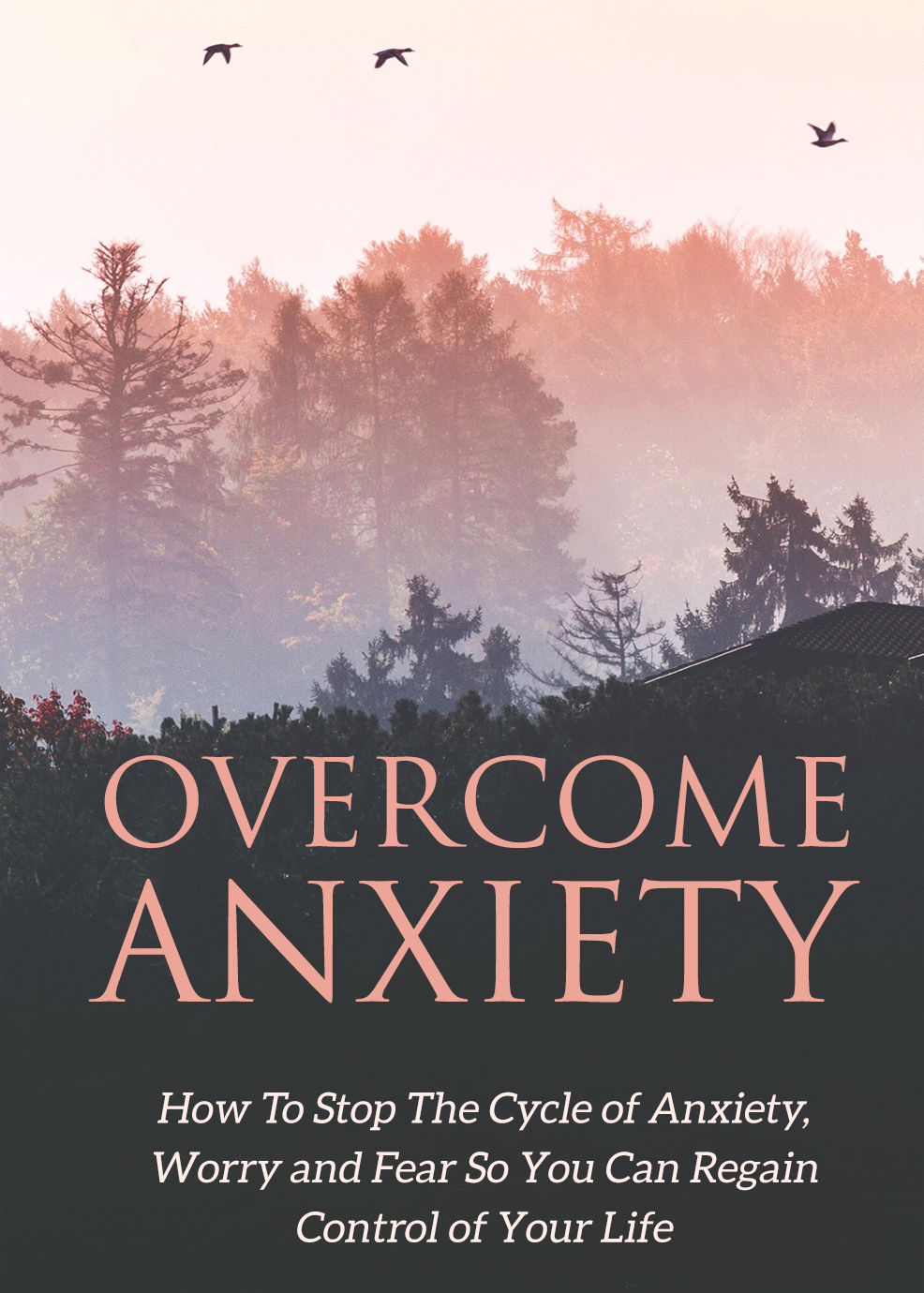 Overcome Anxiety